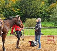Ausbildung von Pferd und Reiter